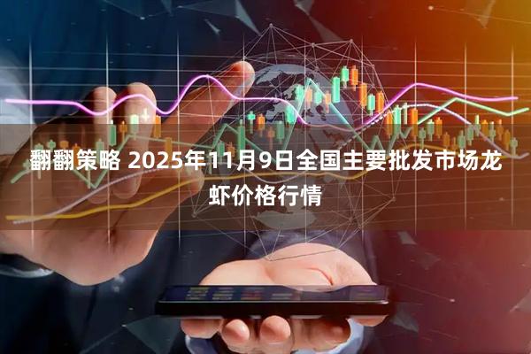 翻翻策略 2025年11月9日全国主要批发市场龙虾价格行情