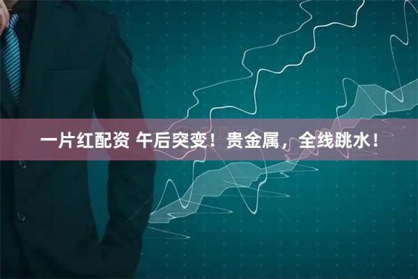 一片红配资 午后突变！贵金属，全线跳水！