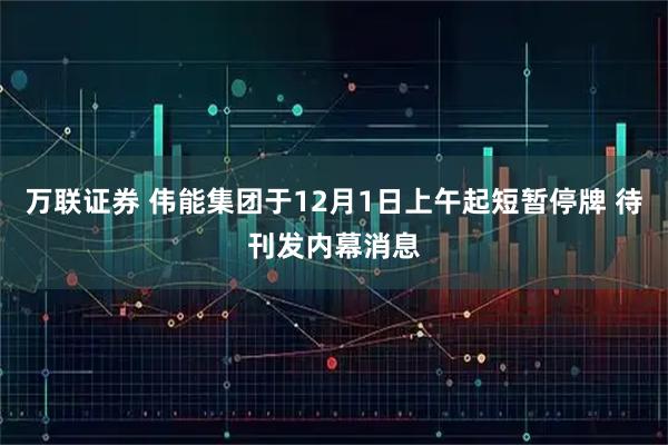 万联证券 伟能集团于12月1日上午起短暂停牌 待刊发内幕消息