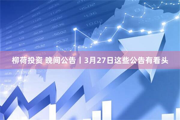 柳荷投资 晚间公告丨3月27日这些公告有看头